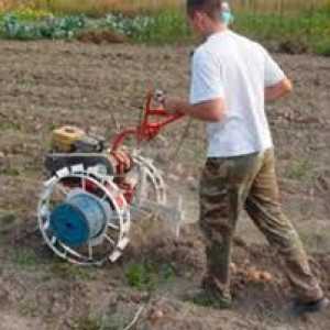 Как правилно да се подготви земята за засаждане на картофи