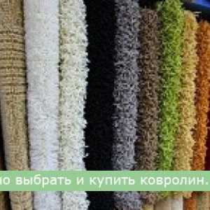 Как да изберем и купим килим