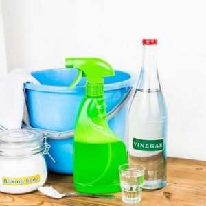 Как да се чисти отпадъци в мивката в кухнята с сода и оцет