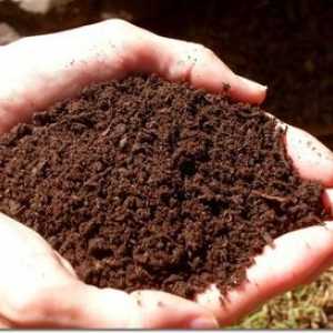 Как да проверите киселинността на почвата?