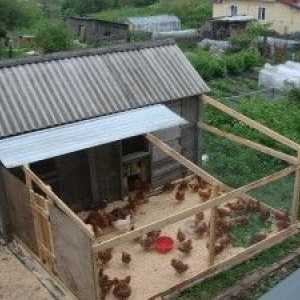 Как да изолирате пилешки котлет за зимата