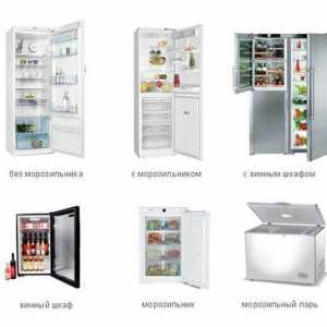 Кой хладилник е най-добре да се купи за дома избор критерии и марка рейтинги