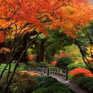 Бои на есенната градина Есенни работи в градината