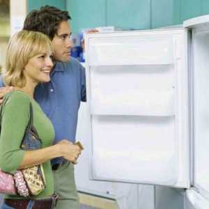 Критерии за избор на хладилник за къща и за даване