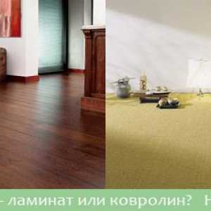 Ламинат или килим Какво е по-добре?