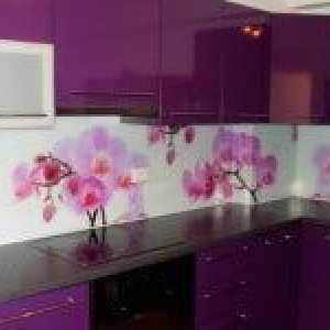 Интериорен дизайн на кухненските стенни панели с фотографско печатане на фотоапарати и…