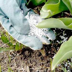Органични торове от растения