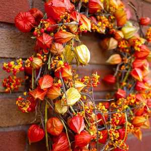 Есенния венец на идеите за декорация на вратата