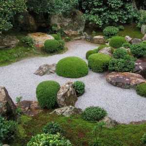 Характеристики за създаване на японска градина със собствени ръце