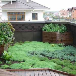 Озеленяване на покриви и покриви