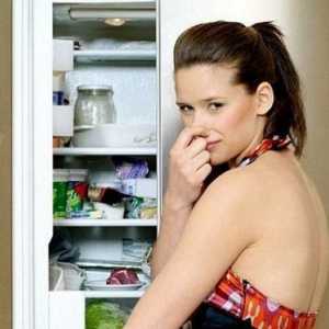 Защо има миризма в хладилника и как да го почистите