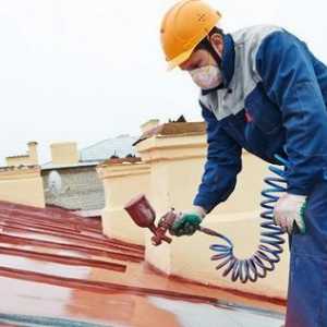 Боядисване на метални покриви