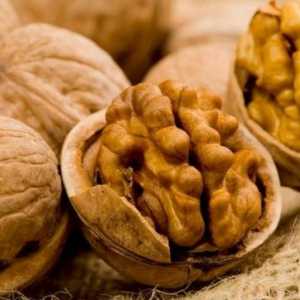 Полезните и вредни свойства на противопоказанията на ореха за консумация
