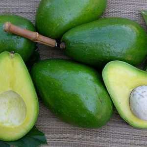 Полезни свойства на авокадо