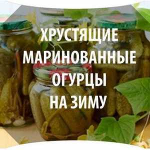 Рецепти за реколта за зимата на хрупкава кисели краставица