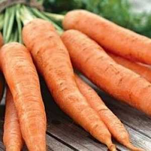 Сортове ранни и сладки моркови