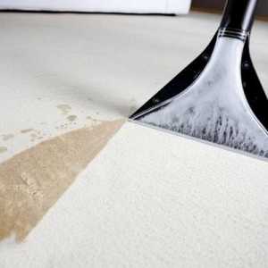 Съвети за избор и използване на шампоан за килими