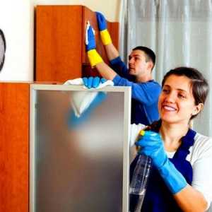 Почистване на апартамента полезни съвети за домакини