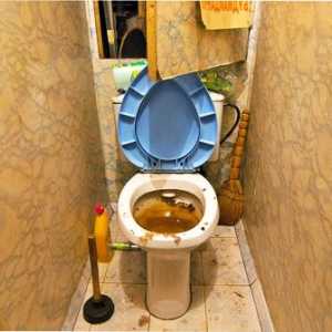 Премахване на запушвания в тоалетната купа традиционни методи и народни методи
