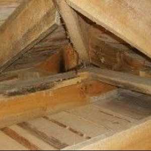 Затопляне на тавана на частна къща с минерална собственост и характеристики