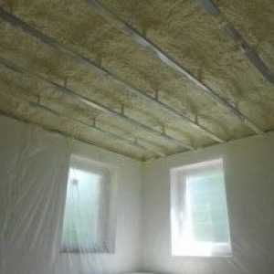 Затоплянето на тавана в частни домашни мини-важни точки