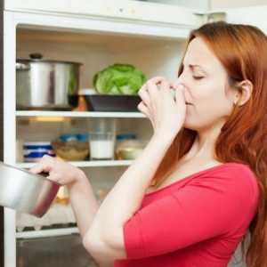 Миризма в хладилника как да се отървете бързо и за дълго време